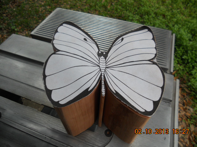 DSCN1378.JPG