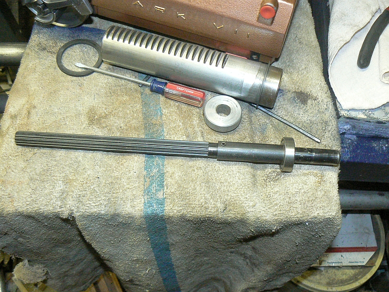 quill shaft surprise.jpg