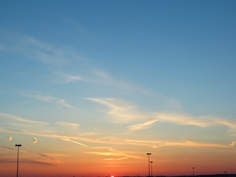 IMG_7316s.jpg
