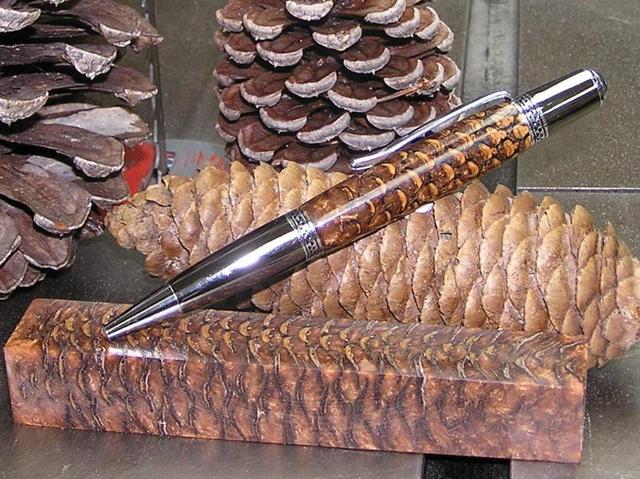pinecone_1.jpg