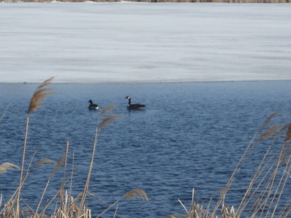 IMG_2795.JPG