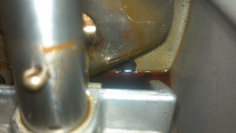 Jigsaw oil level plug.jpg