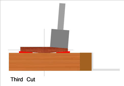 cut 3.jpg