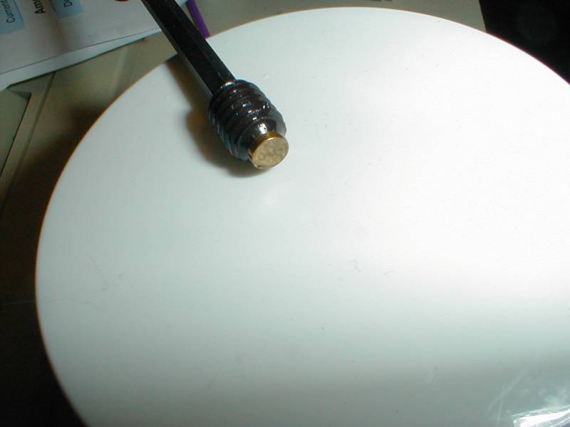P5300005s.jpg