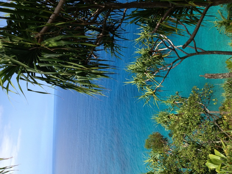 May Hawaii 2013 phone 087.jpg