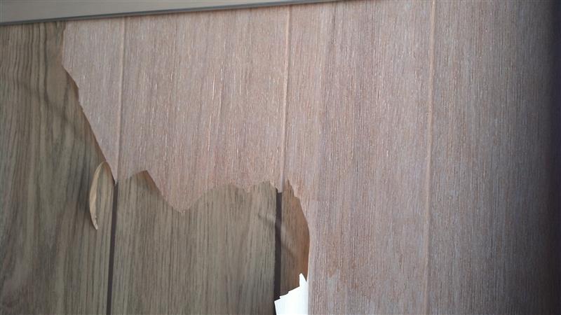 More Paper Peeling (Custom).jpg