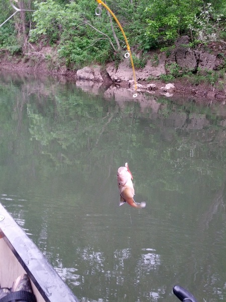 IMG_20130518_180037.jpg