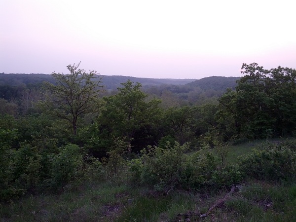 IMG_20130518_200810.jpg