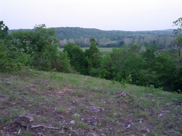 IMG_20130518_200913.jpg