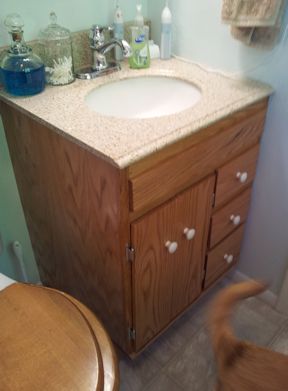 bath vanity.jpg