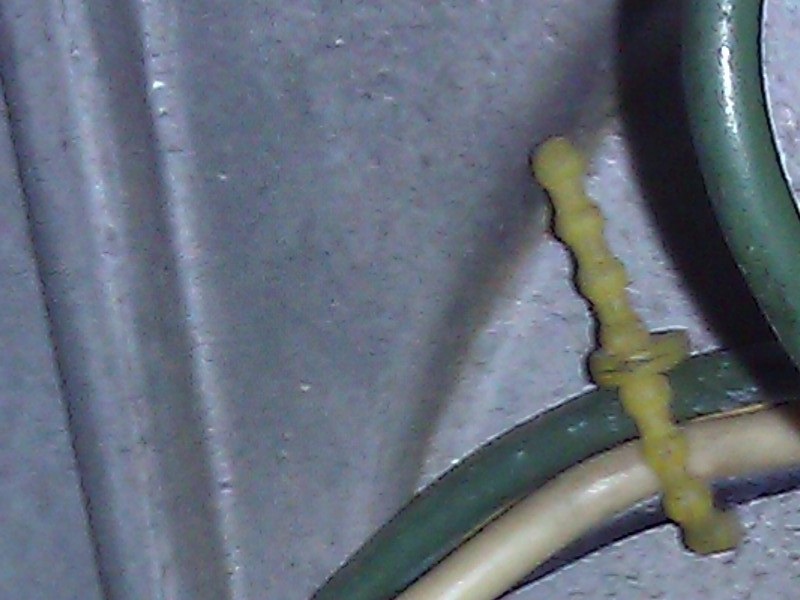 WP_000642.jpg