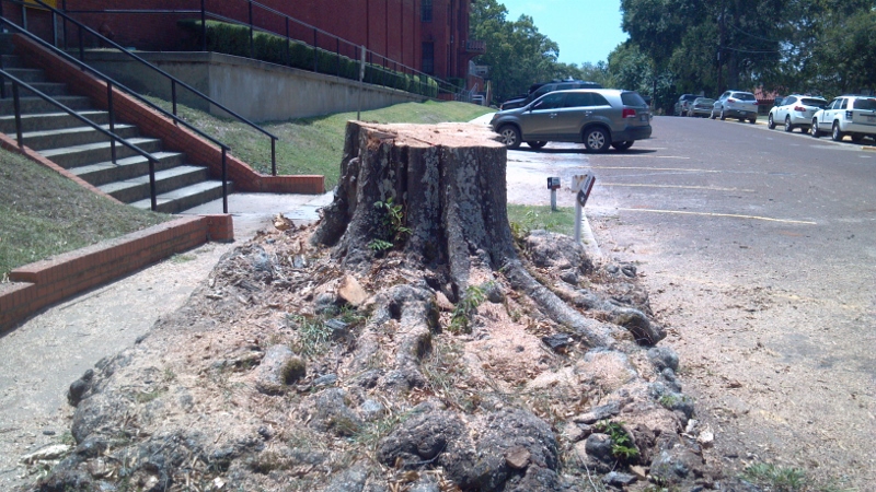 2013-07-29_14-19-25_253 (800x450).jpg