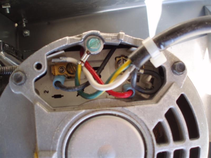 P3240011 (Custom).JPG