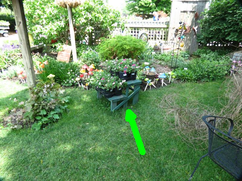IMG_8255sca.jpg