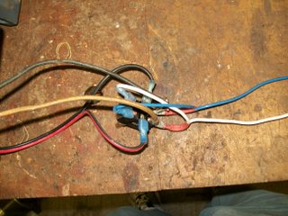 100_0717.JPG