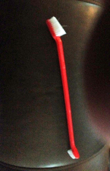 Brush.jpg