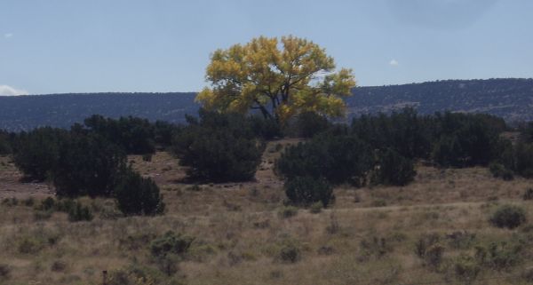 pic3.jpg