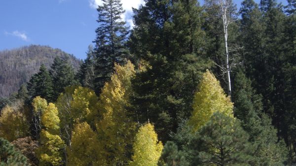 pic 2.jpg