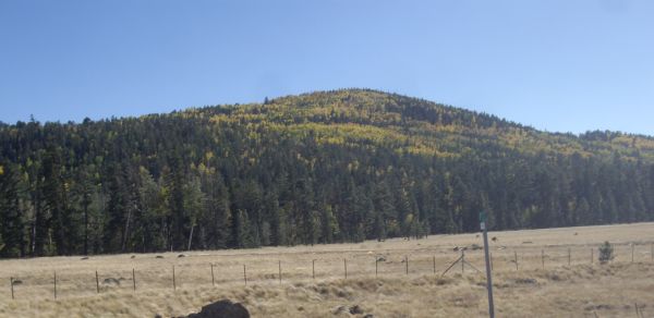 pic 1.jpg