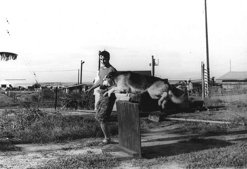 reible_lassie_viet_nam.jpg