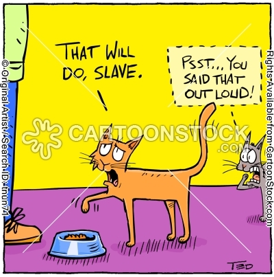 animals-cat-kitten-kitty-pet-pet_owners-tnun71l (1).png