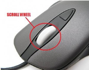 mouse-scroll-wheel-300x236.jpg