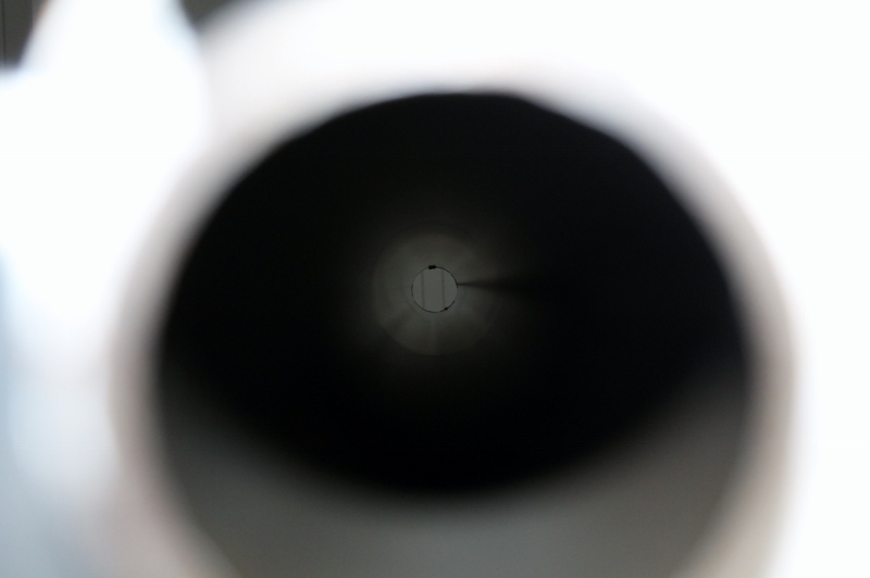 SS Week 4b 011 (800x532).jpg