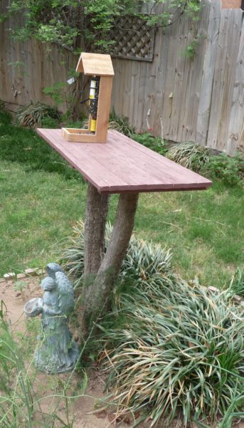 Birdhouse 2.jpg