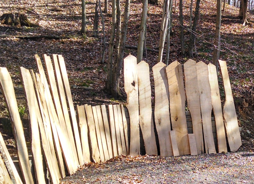 boards.jpg