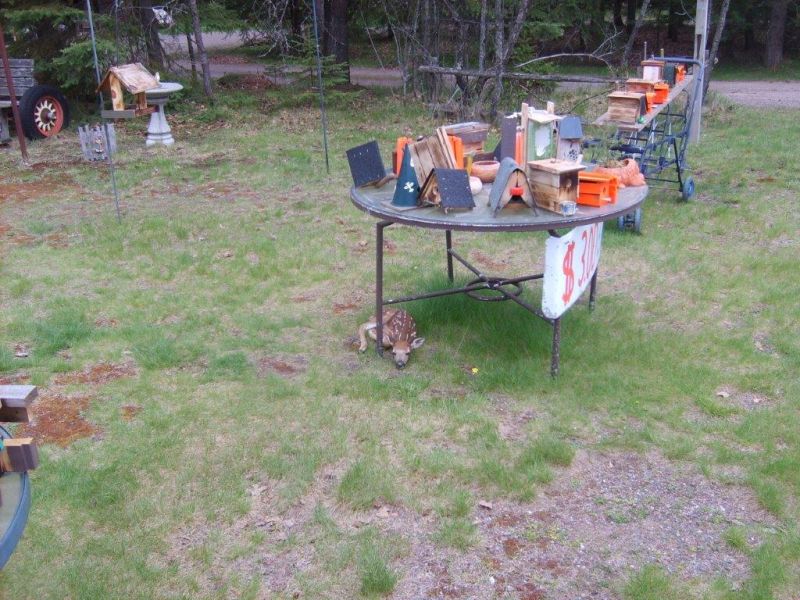 Spring finality came to north Woods 002sc.jpg