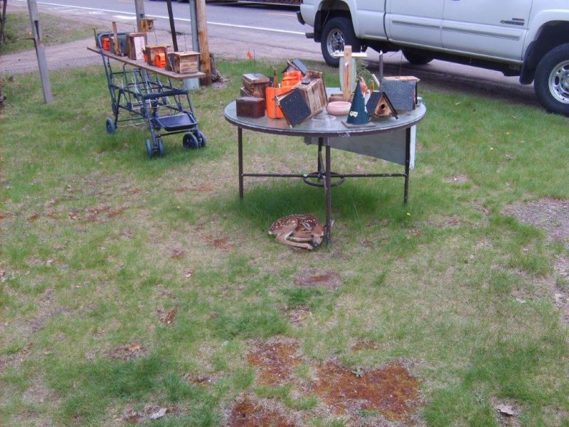 Spring finality came to north Woods 003sc.jpg
