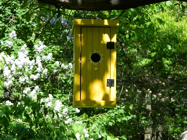 DSCN0972.JPG