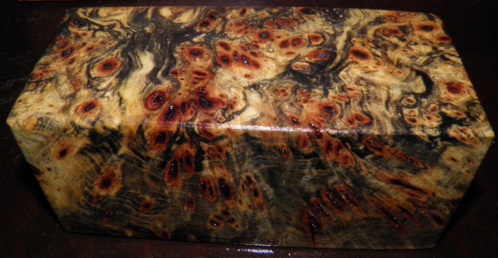 buckeye burl.JPG