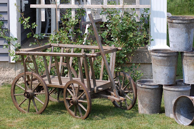 Goat carts 003.JPG
