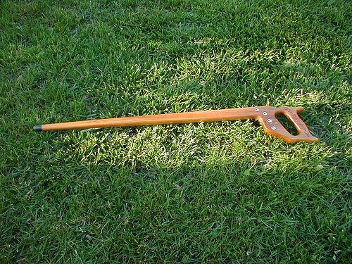 cane 1.jpg