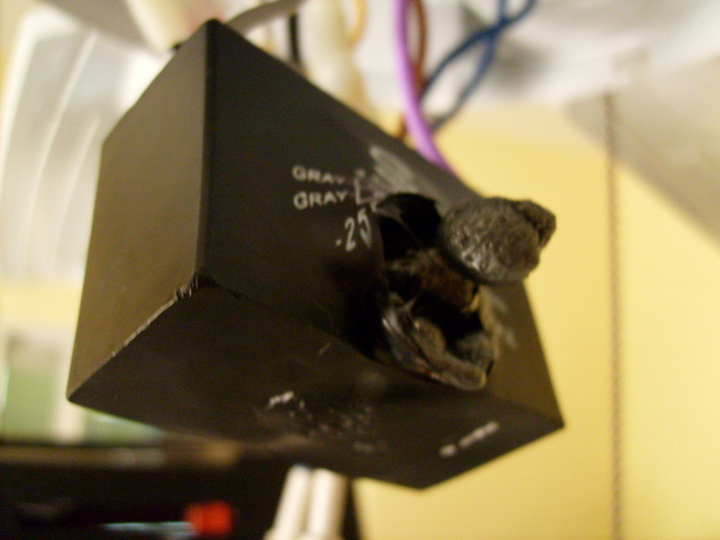 S6300313.JPG