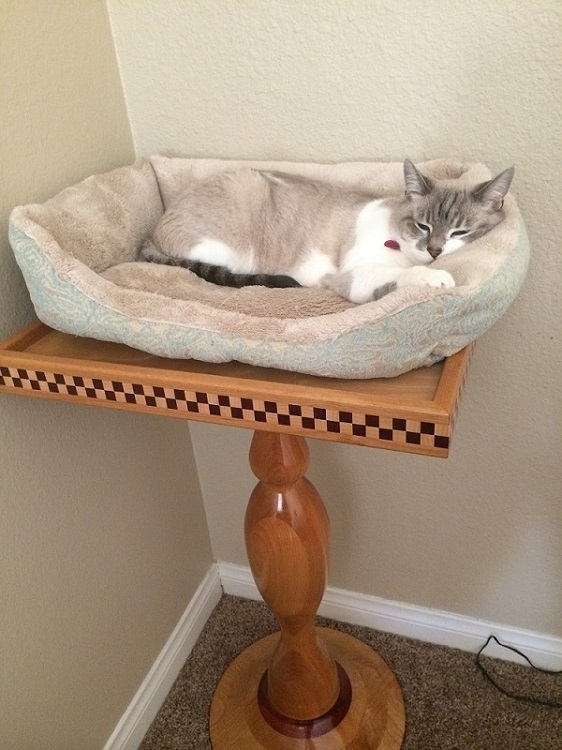 Cat bed 4.jpg