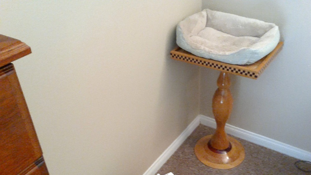Cat bed 5.jpg