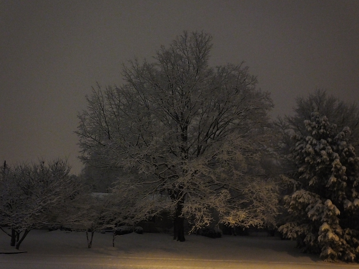 SNOW AT NIGHT ON 24 JAN 2014.jpg