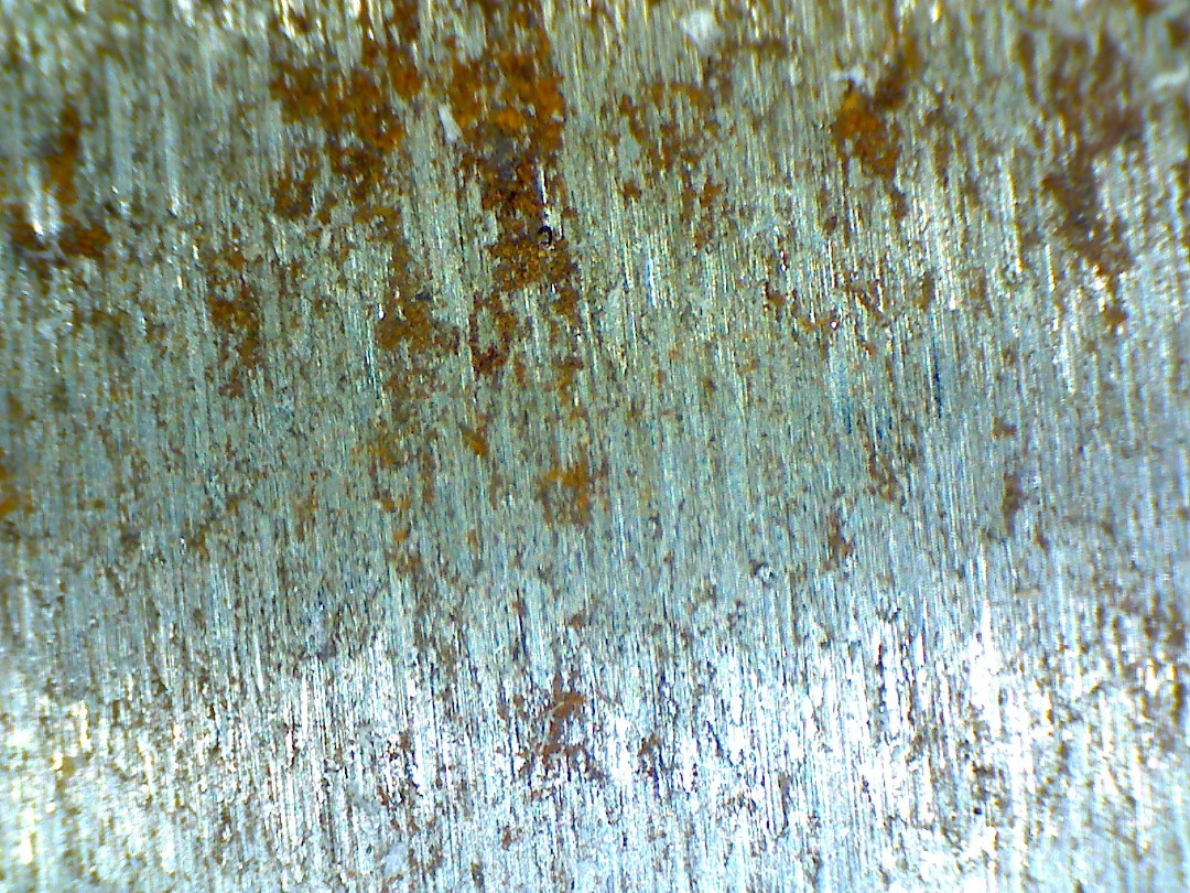 10ER  tube closeup 2.JPG