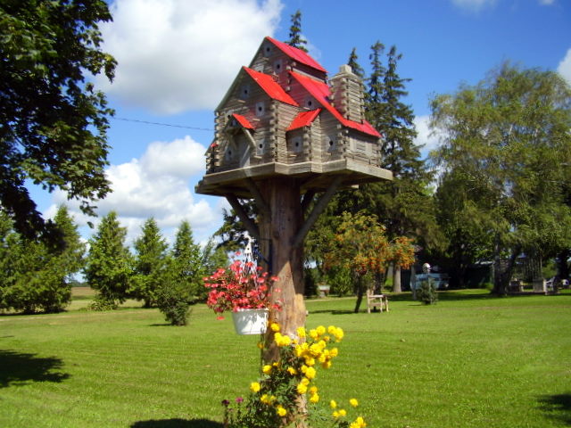 P4190006-1.JPG