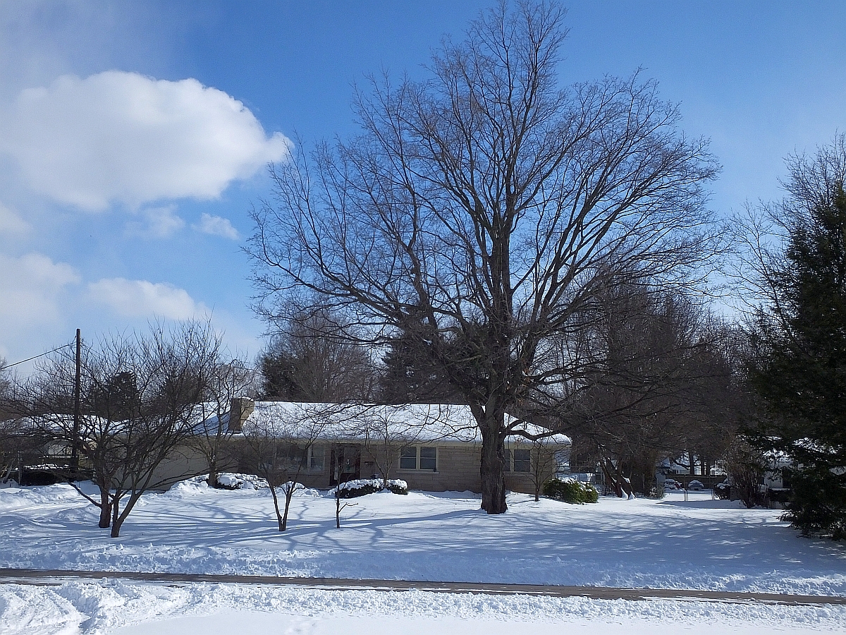 daytime snow.jpg