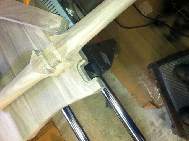 both sides of joint - front leg.JPG