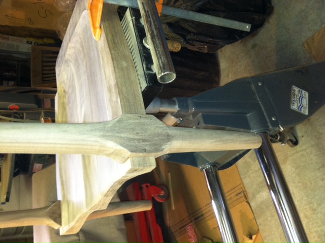 front legs glued.JPG