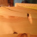 pine split.jpg