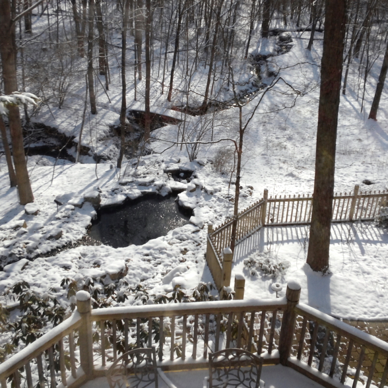 Early spring in Ohio.JPG