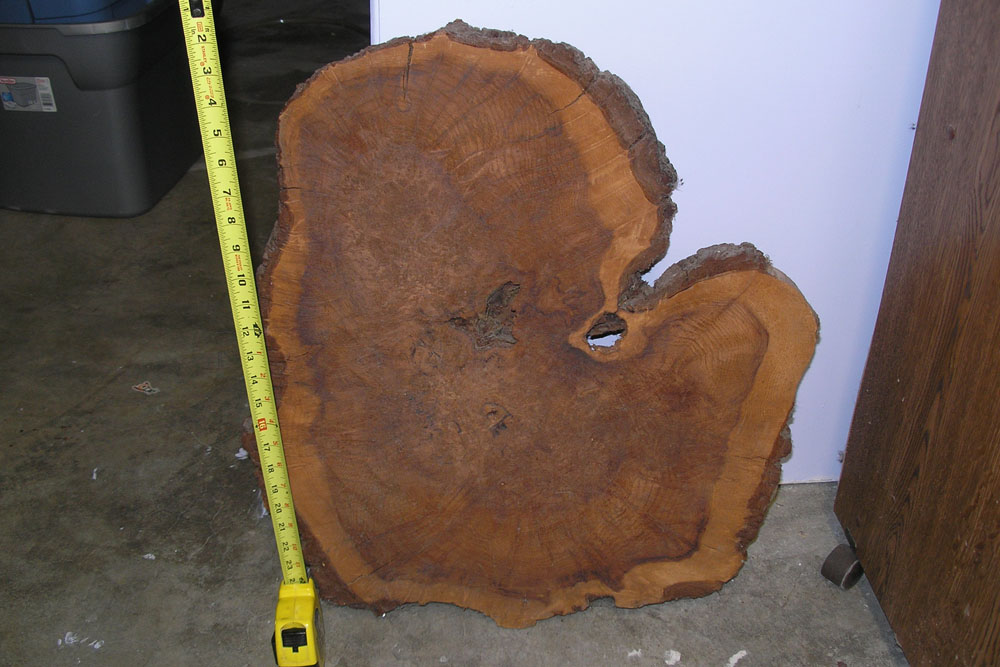 Picture 1 Redwood Slice