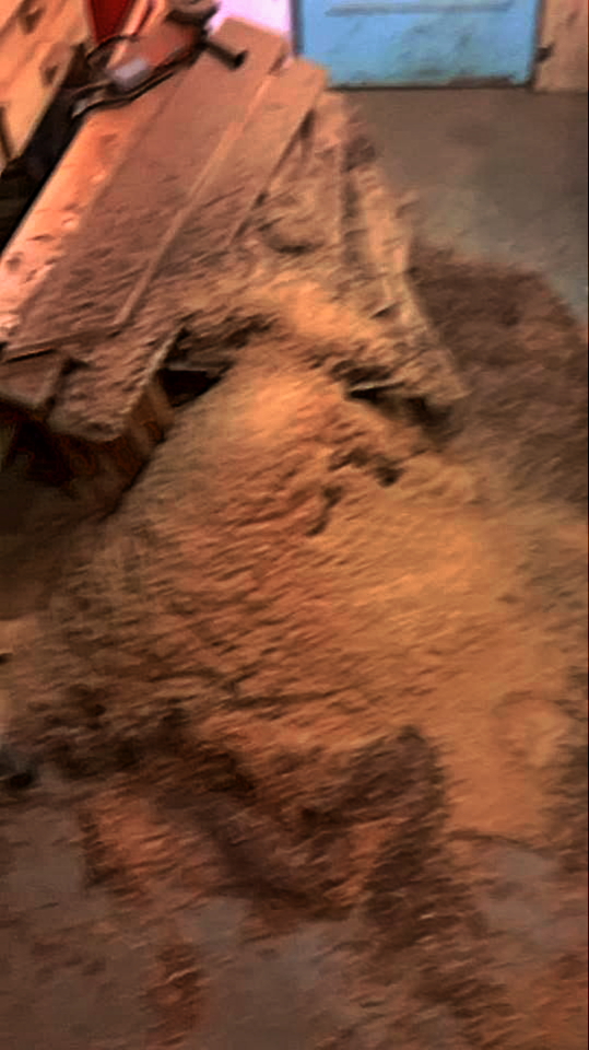 sawdust.jpg