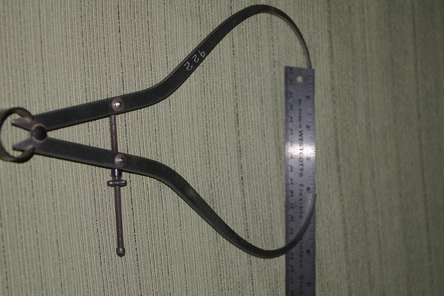 IMGP4200.JPG