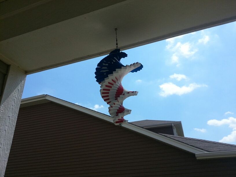 kite at home in oswego.jpg